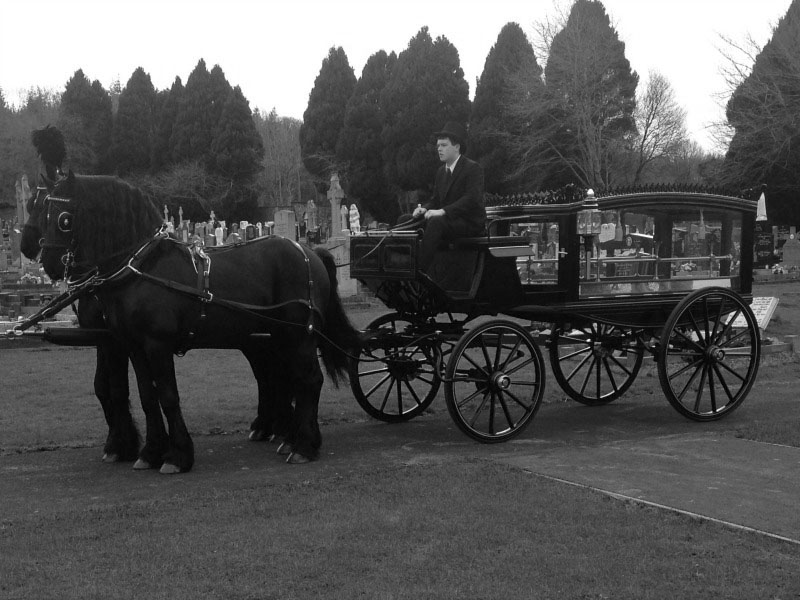 funeral horse and carriage