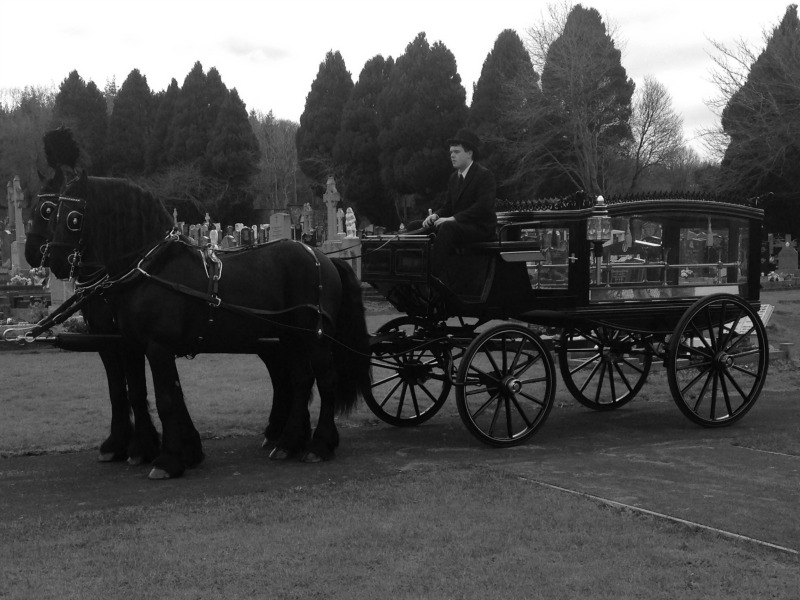 Melia Carriages Funeral Horse and Carriage